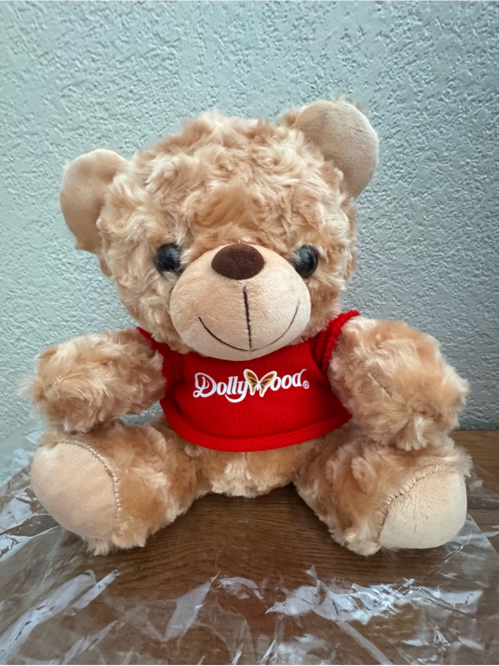 Dollywood Theme Park 10 Inch Plush Bear Wearing Red T-Shirt Souvenir NEW NIP